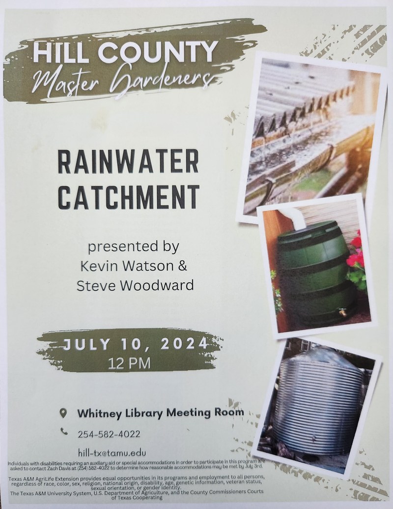 Rain water .jpg