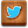 Twitter Icon